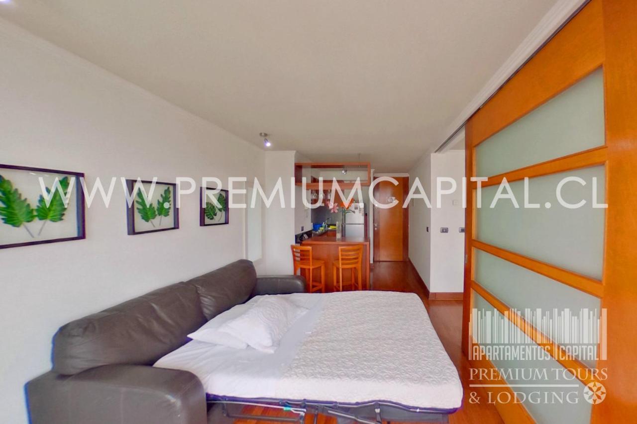 Apartamentos Capital 圣地亚哥 外观 照片
